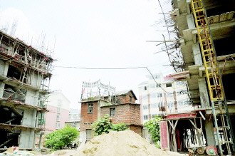 安徽釘子戶防強拆6年 養藏獒自制噴火槍(圖)