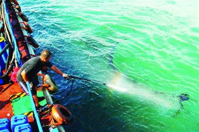 小青島近海現千米油污帶 夾帶漂浮垃圾來源不詳