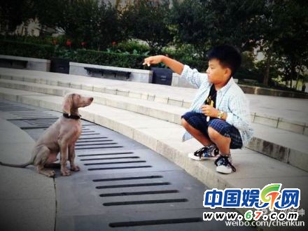 陳坤曬兒子訓狗照 9歲優優側臉輪廓帥過老爸