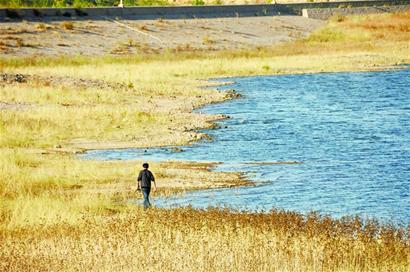 即墨兩水庫(kù)見底東部面臨斷水 大量鰱魚缺氧而死