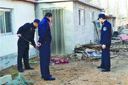 黃狗發瘋要商人四川亂竄 警方連開三槍擊斃